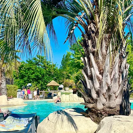 Bisca Wifi, Plage, Piscines A 2 Pas, 6 Pers Avec Vayny Campingplads Biscarrosse