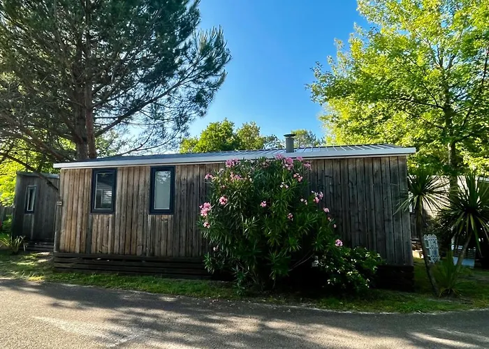 Bisca Plage,piscines A 2 Pas, En Famille By Vayny